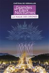 Les Grandes Eaux Nocturnes : La Magie des Drones - Jardin du château de Versailles - Entrée Cour d'Honneur