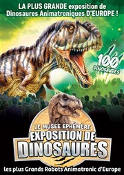 Le Musée Éphémère®: Exposition de dinosaures à Moulins Parc Moulins Expo Affiche