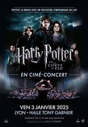 Harry Potter et la coupe de Feu en ciné-concert | Lyon Halle Tony Garnier Affiche