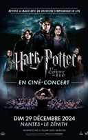 Harry Potter et la coupe de Feu en cin-concert | Nantes